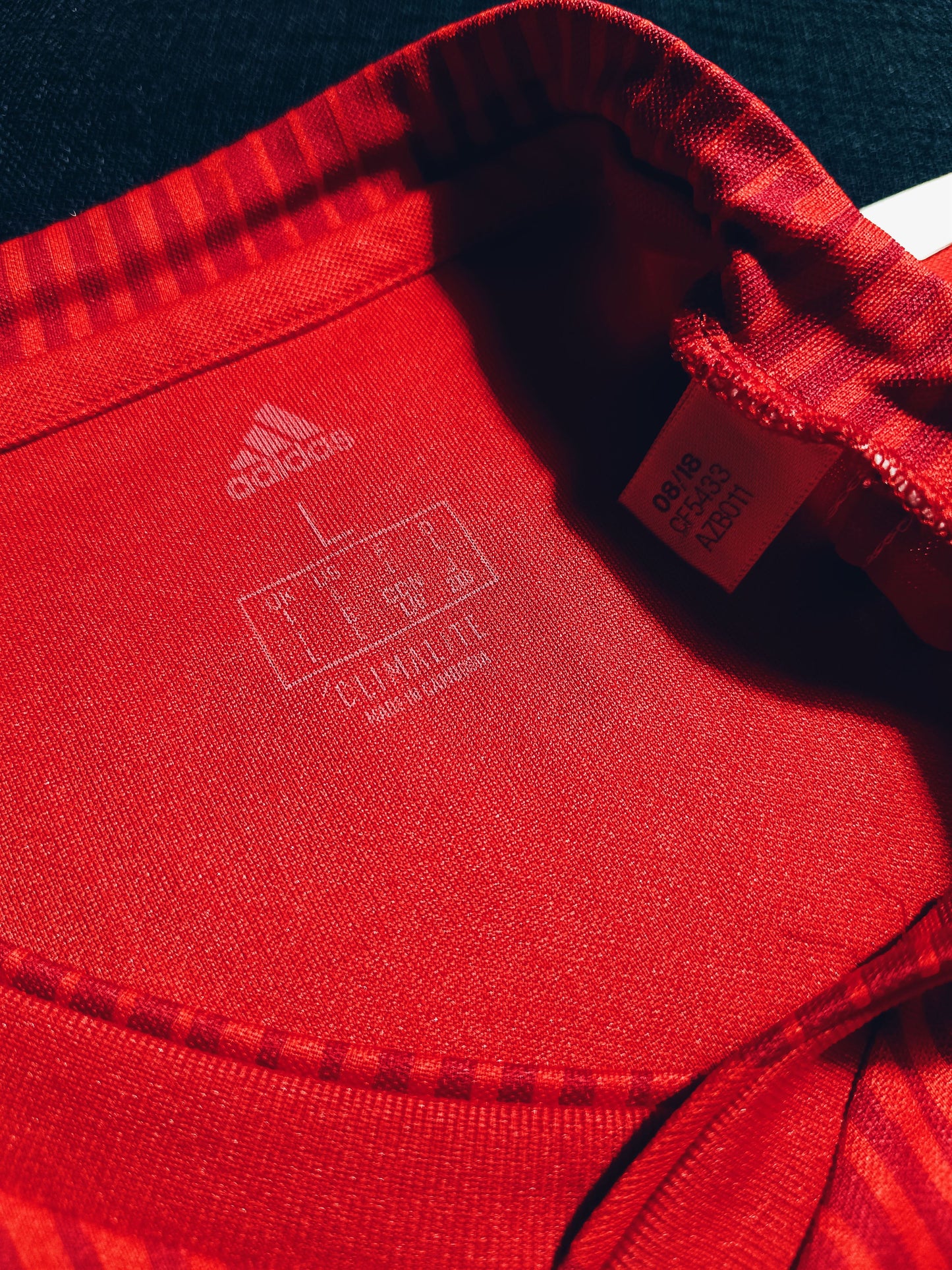 Bayern 2018/19 Home L