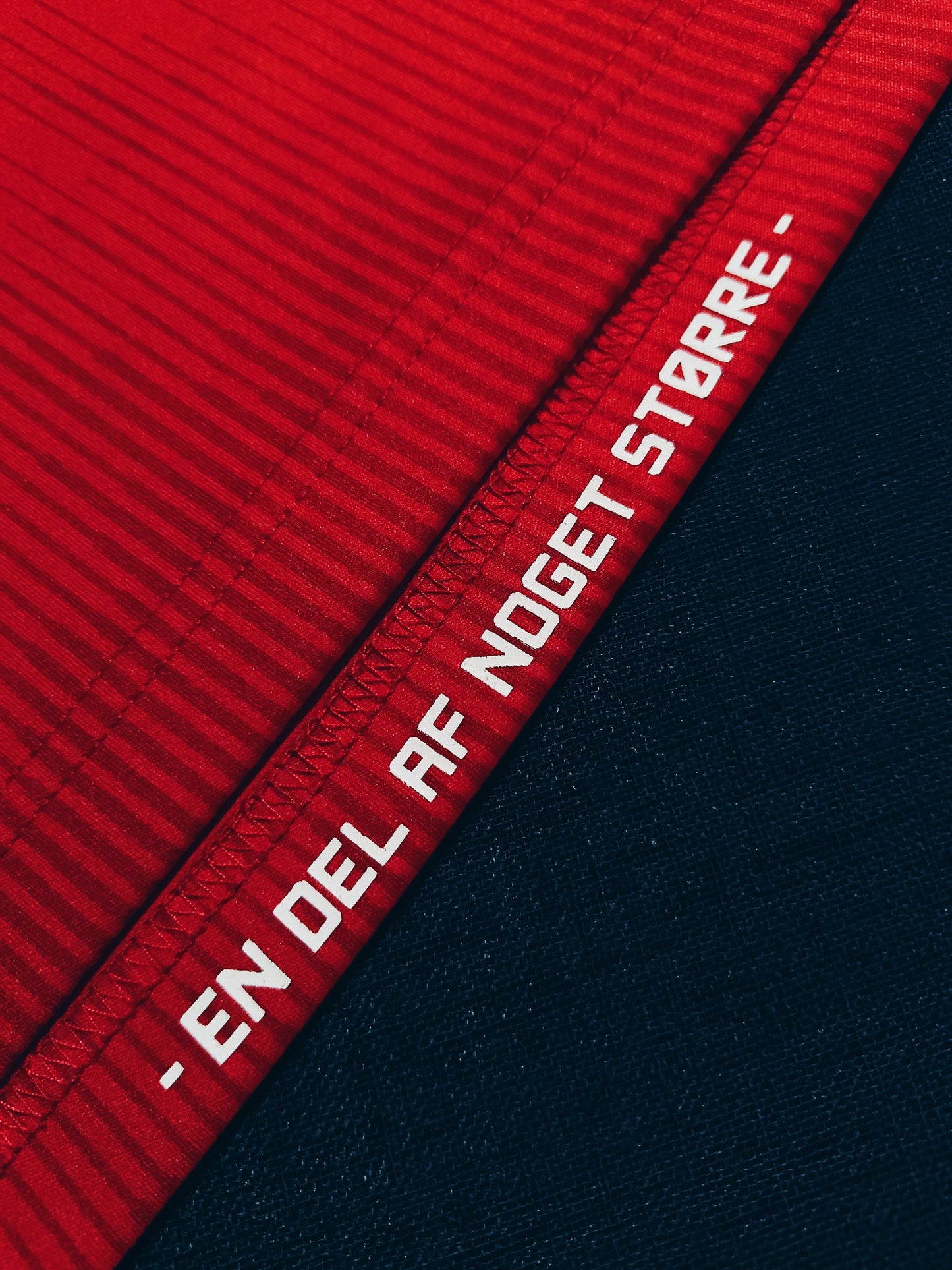 Denmark 2020 Home Eriksen L
