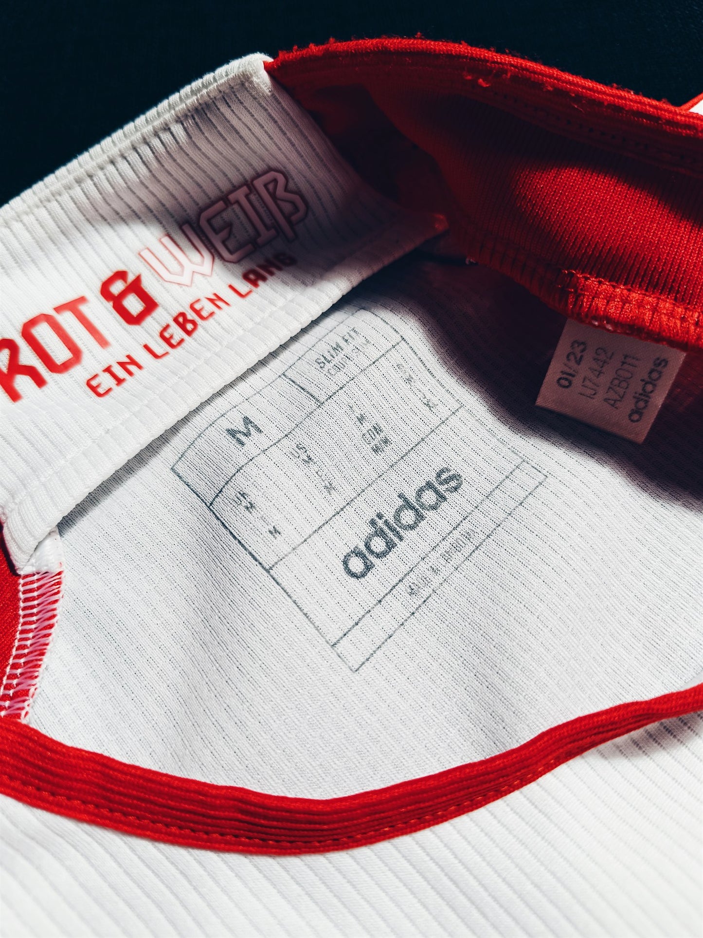 Bayern 23/24 Home Kane M