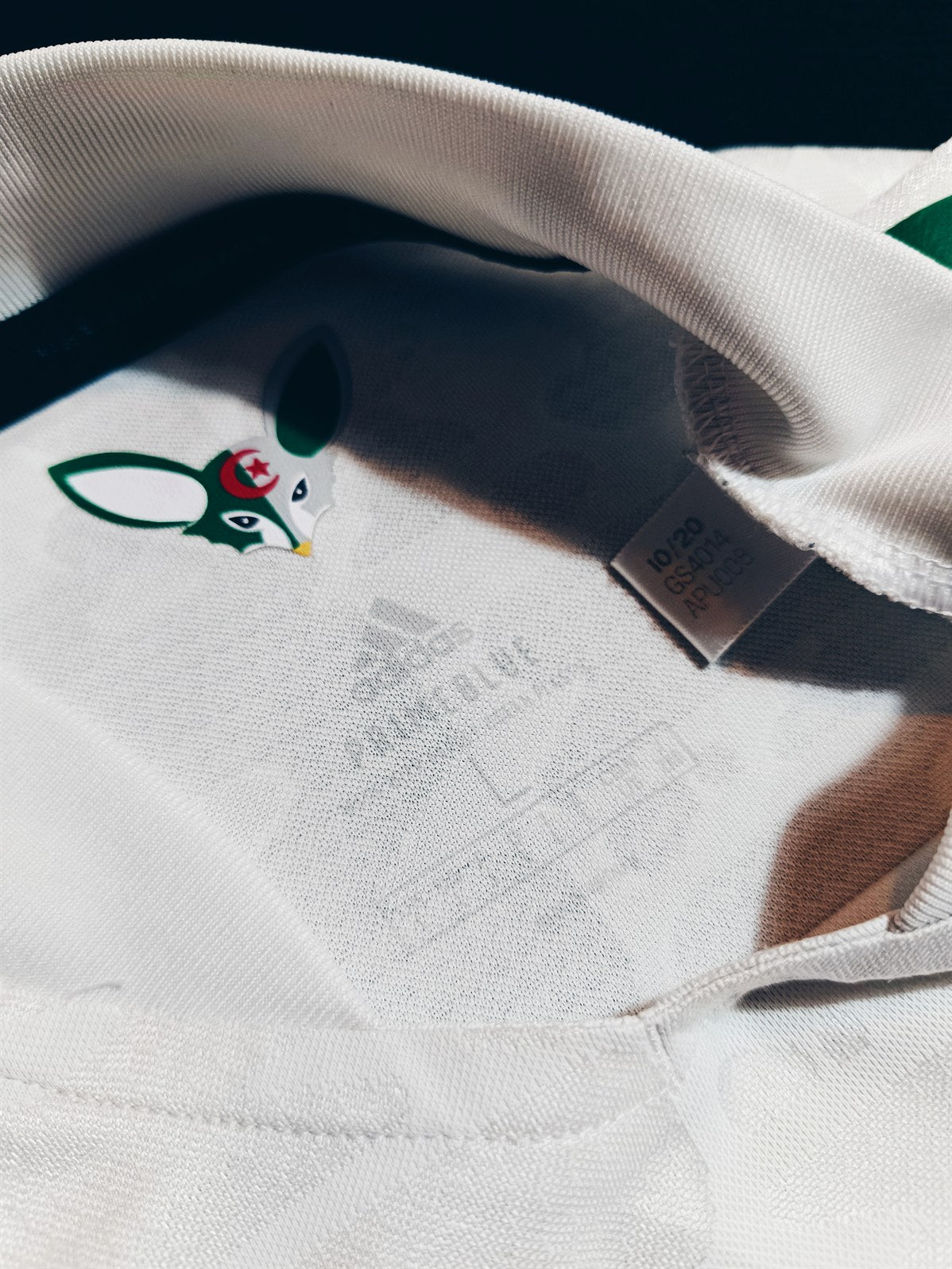Algeria 2021 Home L