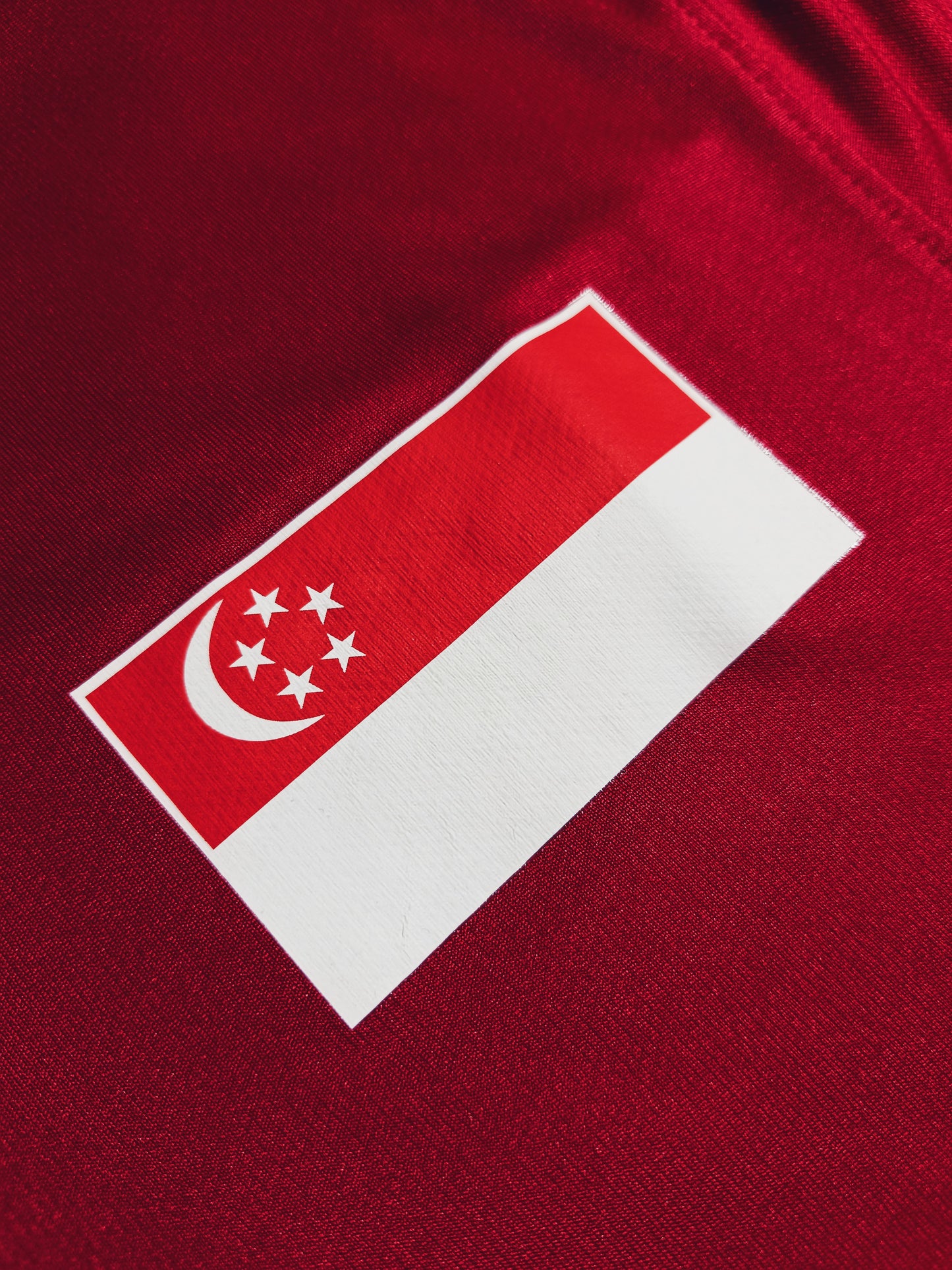 Singapore 2010 Home Player Issue L