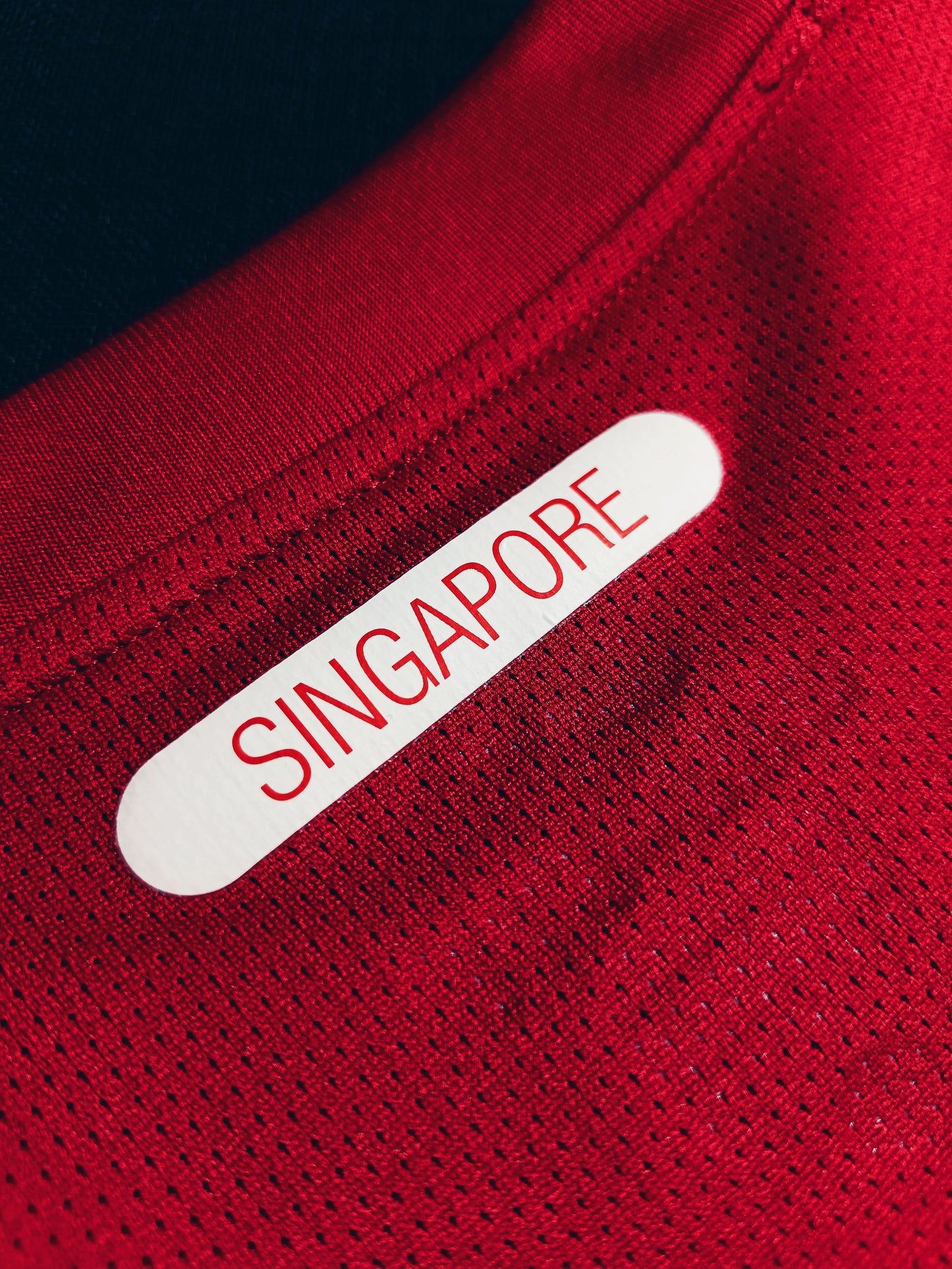 Singapore 2010 Home Player Issue L