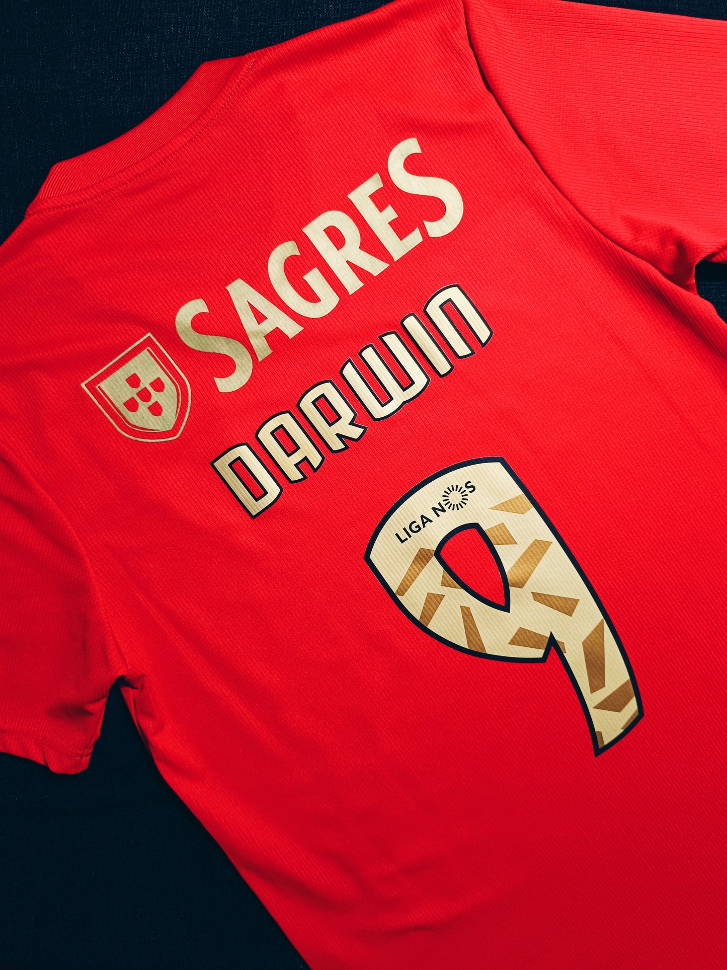 Benfica 2020/21 Home Darwin M