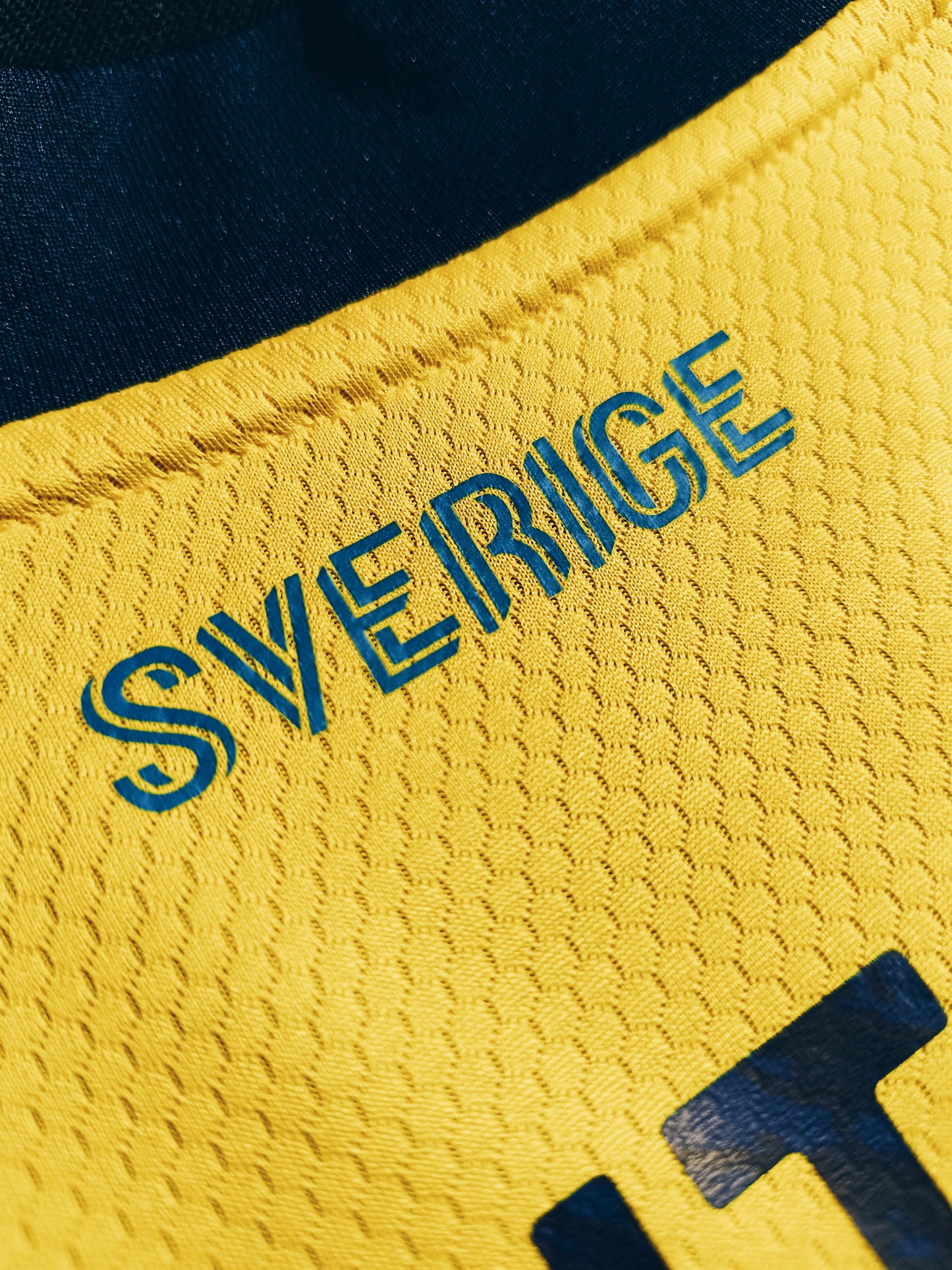 Sweden 2020 Home Ibrahimovic M