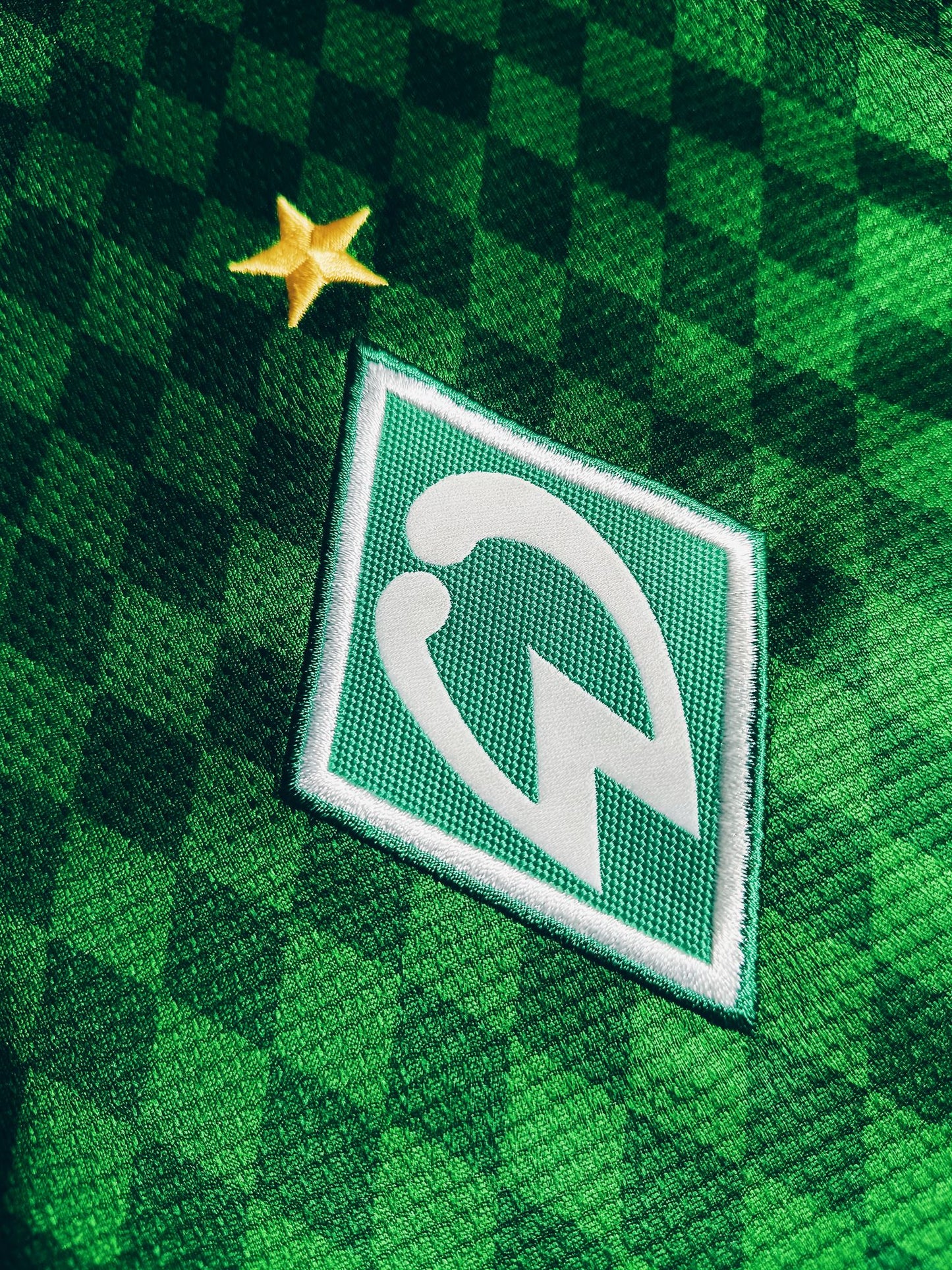 Werder Bremen 2013/14 Home M