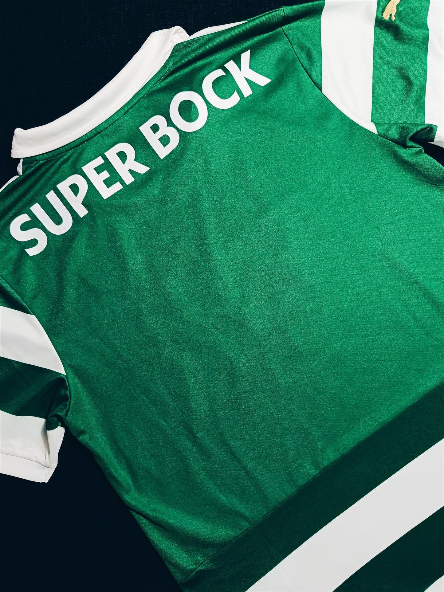 Sporting 2013/14 Home L