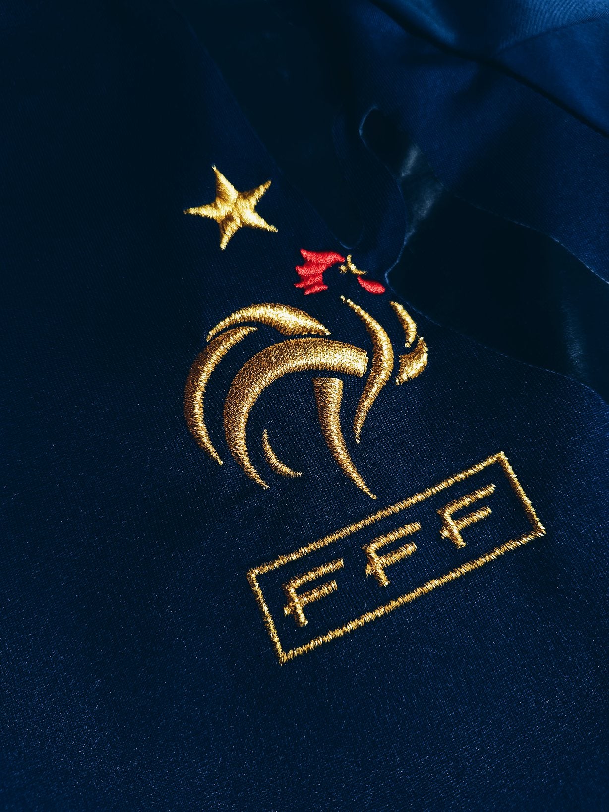France 2009/10 Home Player Issue L