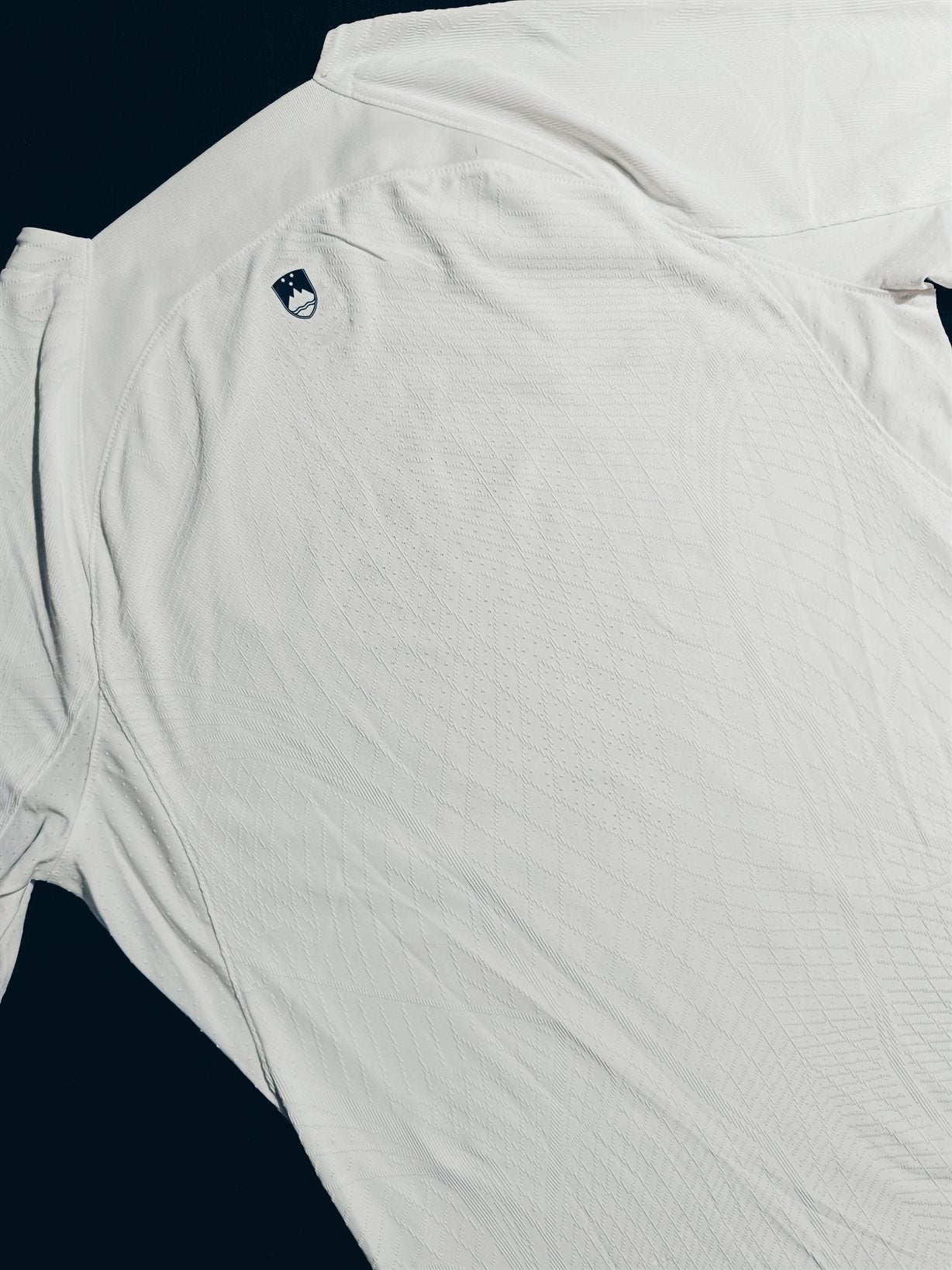 Slovenia 2022 Home Player Issue L