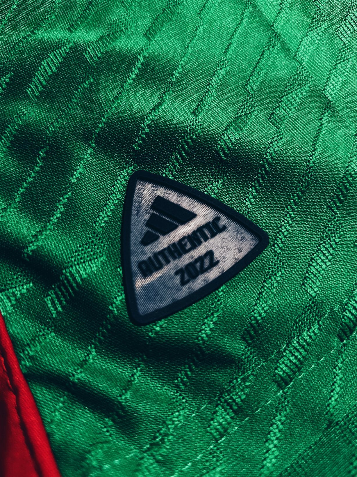 Mexico 2022 Home Player Issue XL